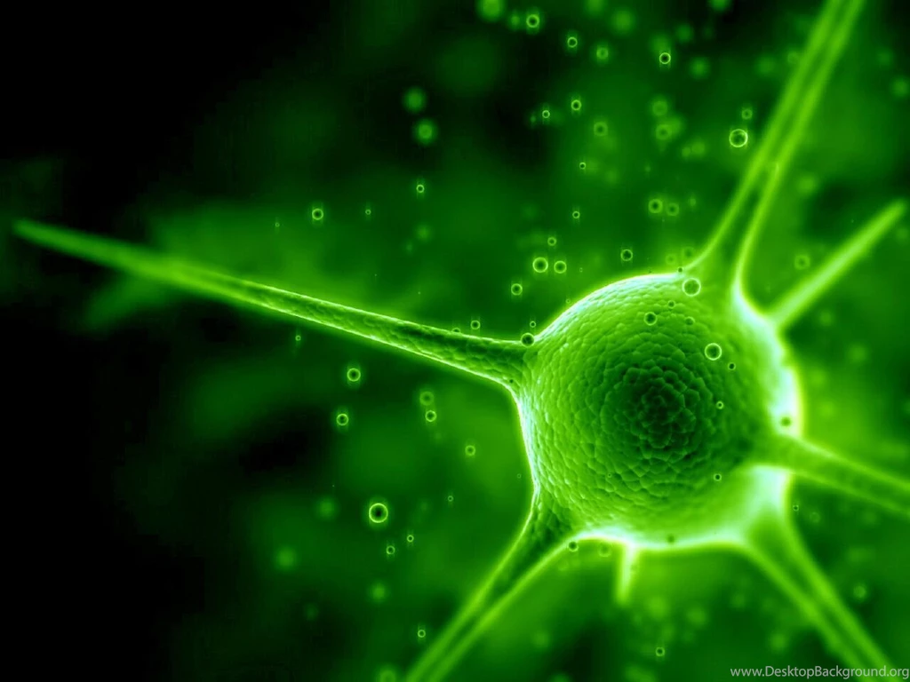 Green Computer Wallpapers, Desktop Backgrounds