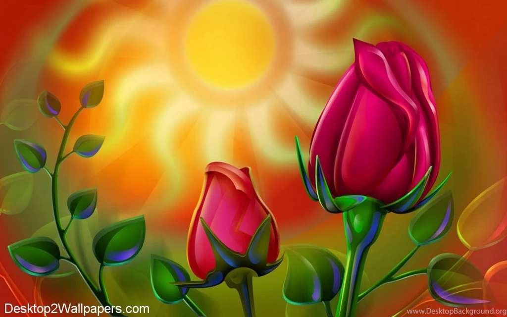 Rose Flower Hd Wallpapers Free Download Desktop Backgrounds