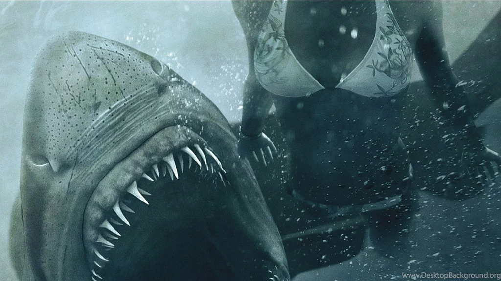 Shark Night Computer Wallpapers, Desktop Backgrounds