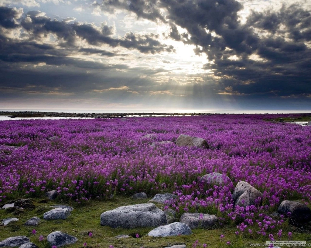 Free Wallpapers Free Nature Wallpapers HD Landscape 4 Wallpapers ...