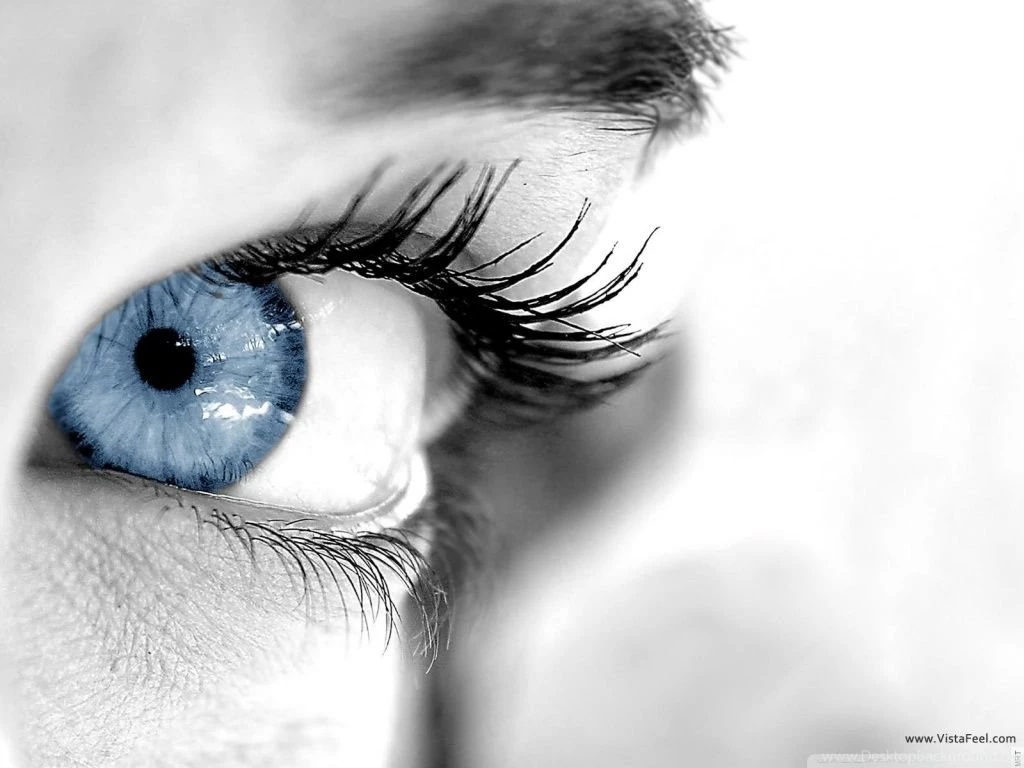 Recovered JPEG Digital Camera 3960 HD Desktop Wallpapers : Fullscreen