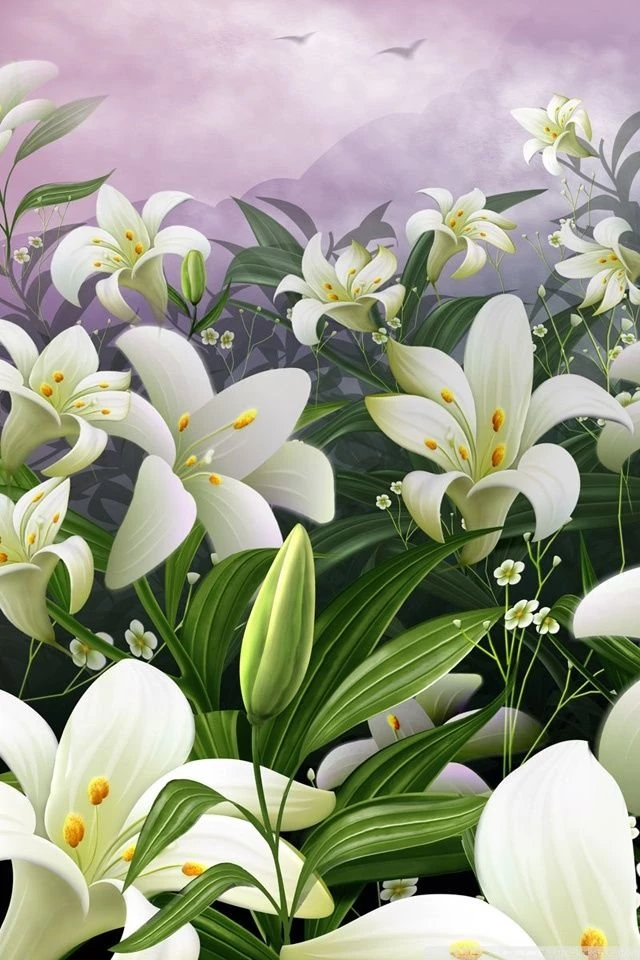White Lilies HD Desktop Wallpapers : Widescreen : High Definition ...