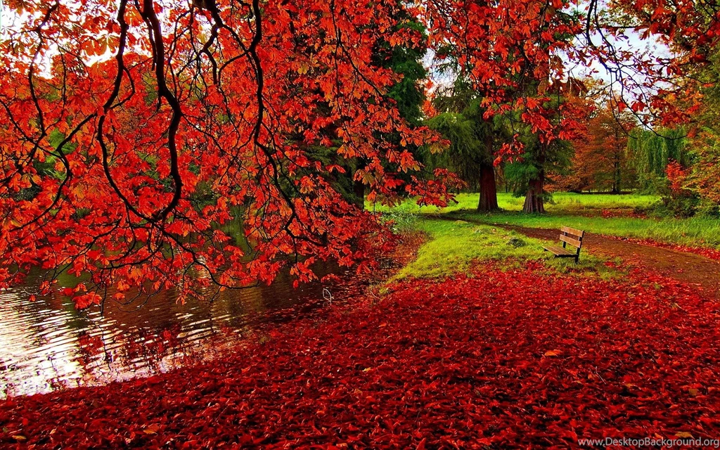 Autumn HD Wallpapers And Latest Desktop Backgrounds
