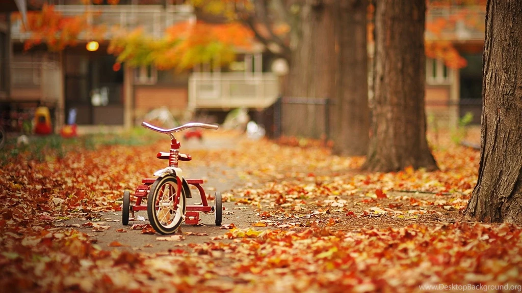 Autumn Wallpapers HD Backgrounds 588 Seo Wallpapers