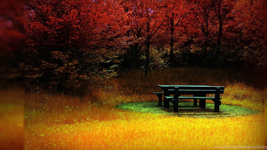 Hd Wallpapers 2560X1600 237228