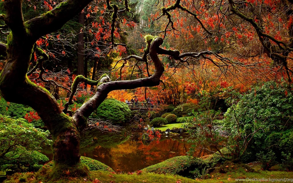 Gardens Wallpaper: Autumn Japanese Garden Desktop Backgrounds ...
