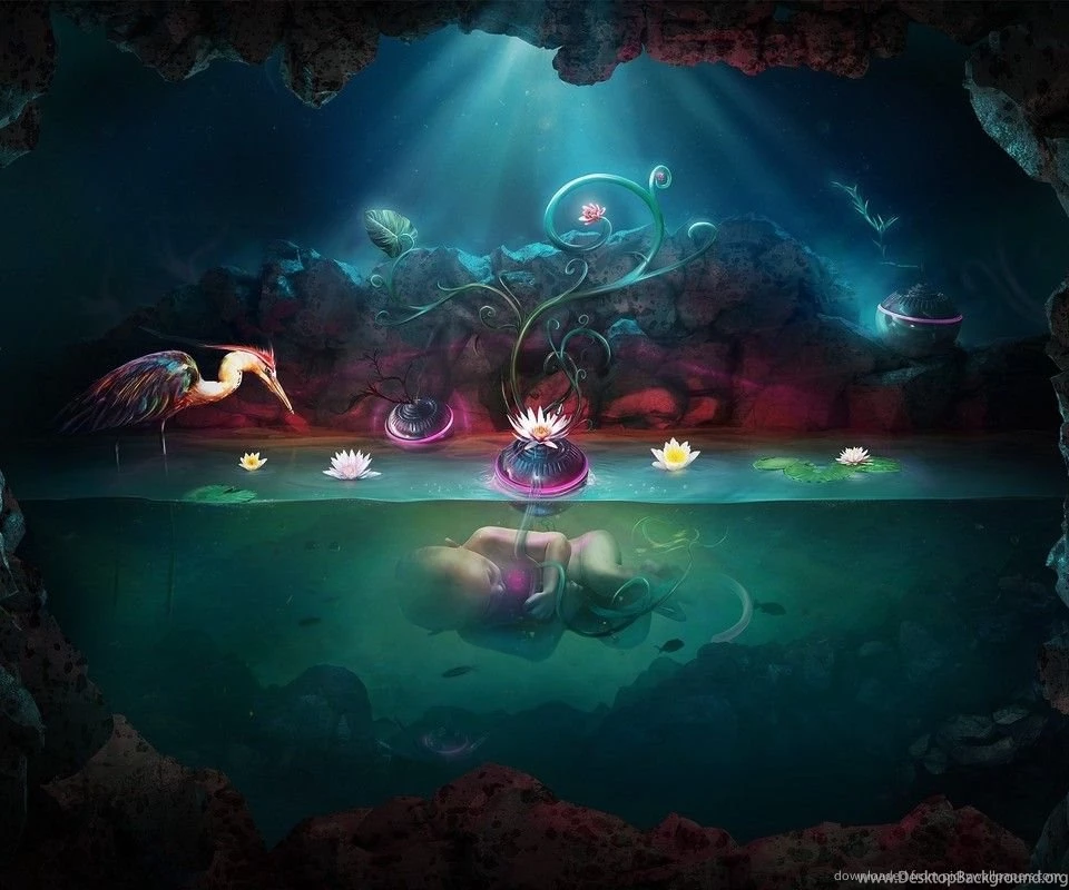 Download New Life Wallpapers For Samsung Galaxy S