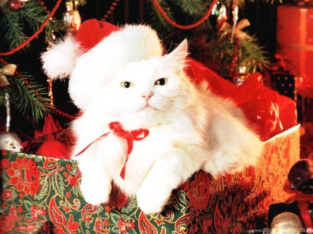 Cute Christmas Desktop Backgrounds, Wallpaper, Cute Christmas ...