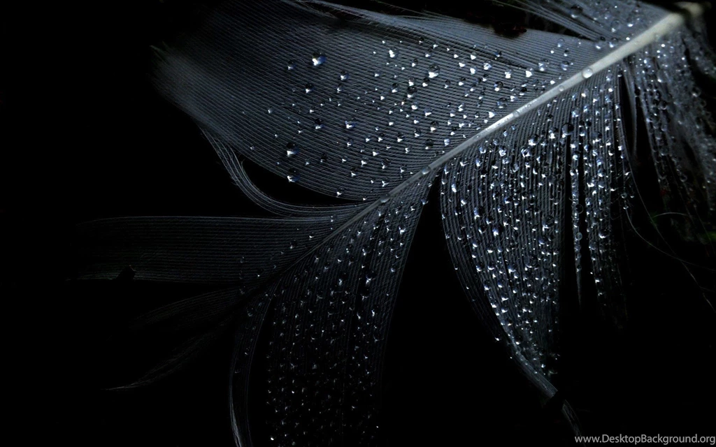 Water Drops Wallpapers 1920x1200 (