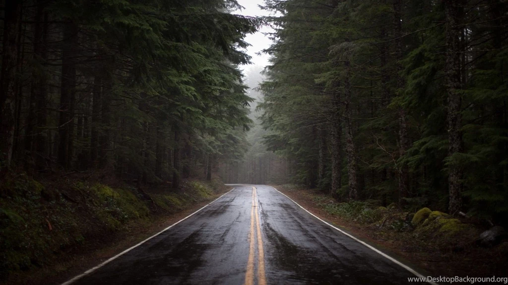 Rainy Forest Road Wallpapers MixHD Wallpapers