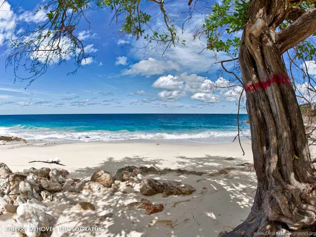 Free Tropical Beach Wallpapers 09 Tropical Beach Wallpapers
