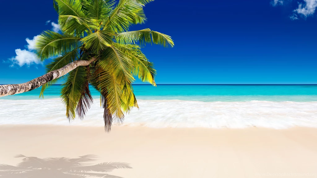 Tropical_paradise_sea_palm_beach_sunshine_hd wallpaper 1783677.jpg