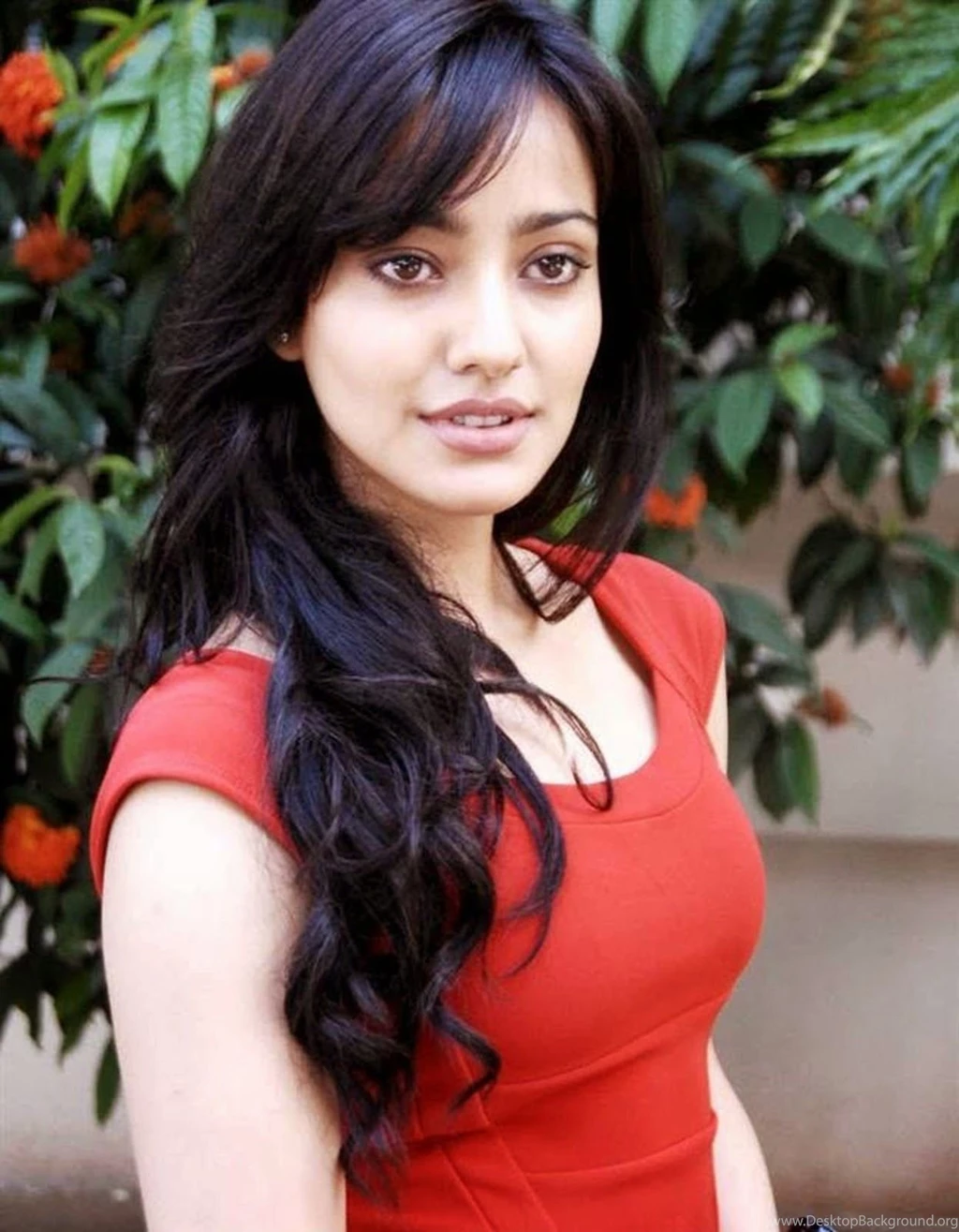 Actress Neha Sharma HD Wallpapers – Cinefames
