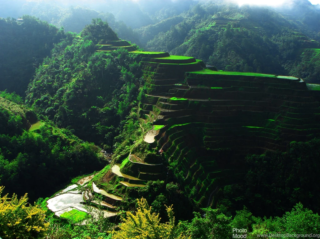 Beautiful Art Wallpapers Hd (18)