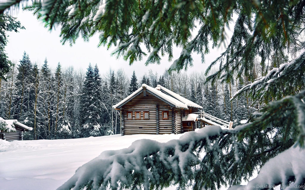 Snow Winter House Pine Needles Spruce Trees Wallpapers