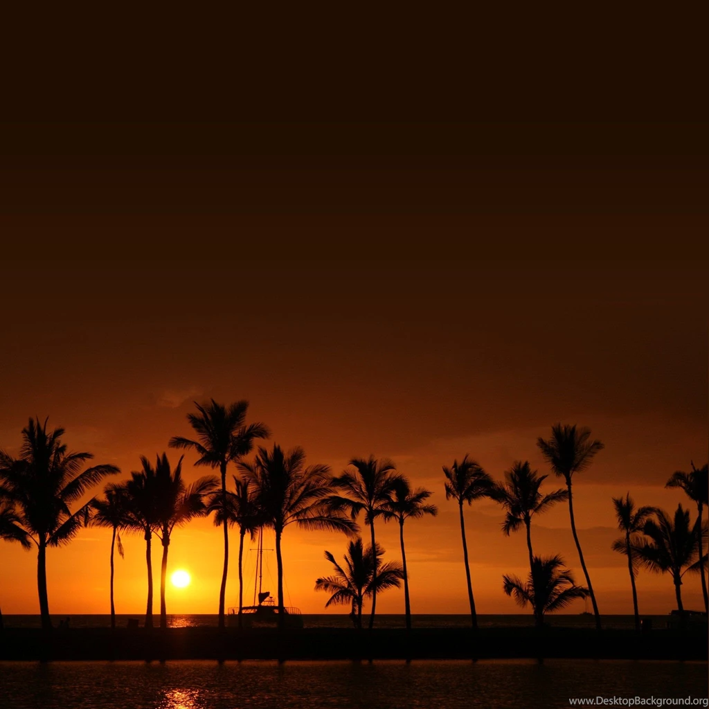 Hawaii Sunset Palm Tree Best Nature iPAD iCloud WallPaper.jpg