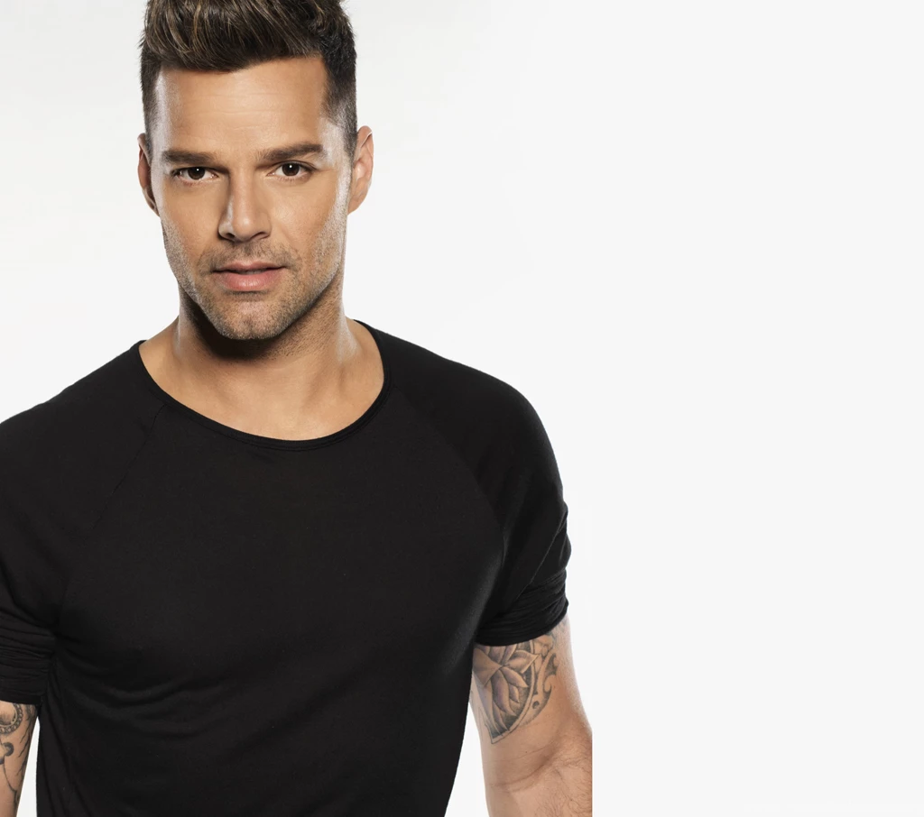 Download Free Ricky Martin Handsome Hunk Hdwallpapers