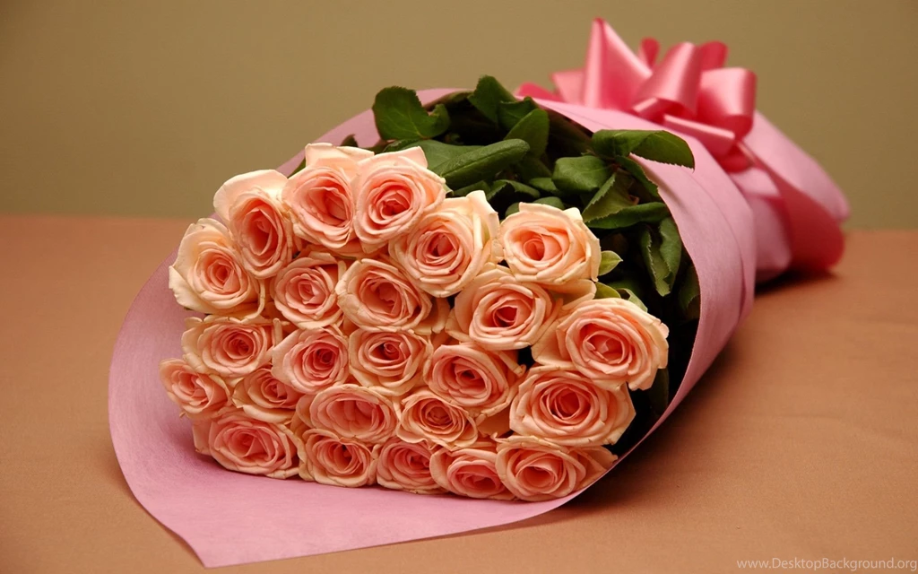 Pink Roses Wallpapers Wallpapers Cave