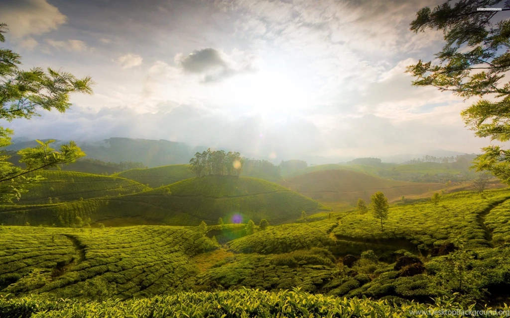 Sunny Hills Wallpapers