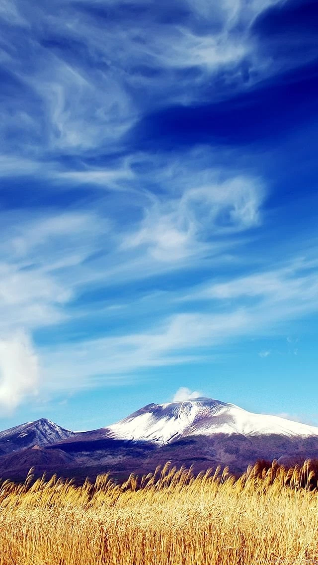Warm And Sunny Landscape iPhone 5s Wallpapers Download