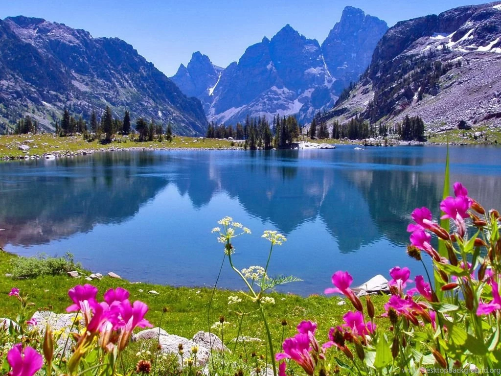 Nature Wallpapers Daydreaming Wallpapers (34811101) Fanpop