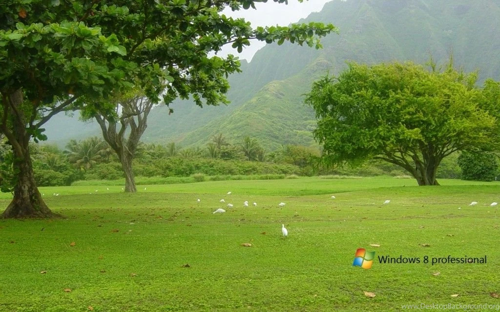 Windows 8 wallpaper 20.jpg