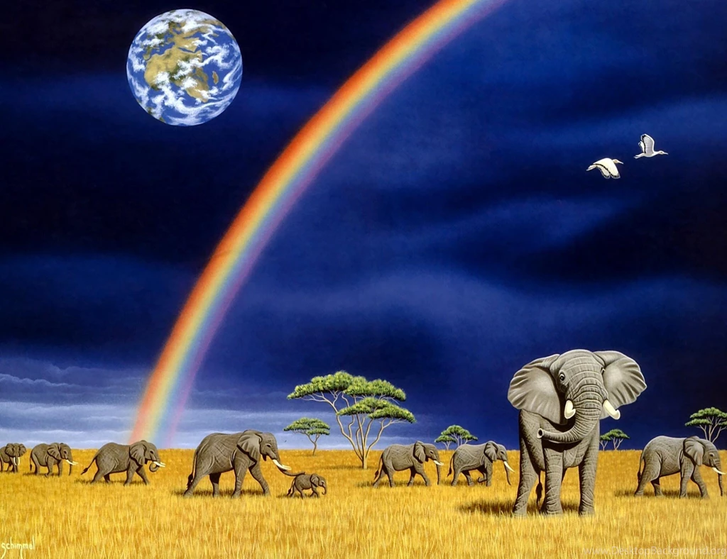 Family Of Elephants >> HD Wallpaper, Get It Now!