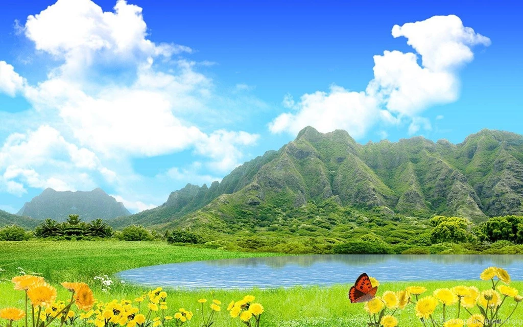 Summer Screensavers Wallpapers Wallpapers Cave