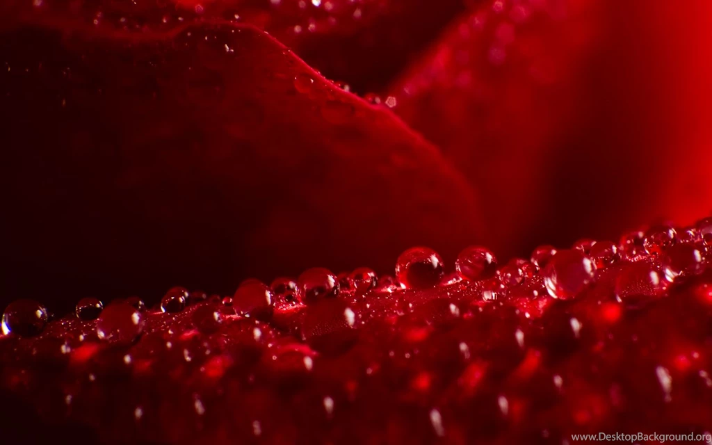 Extraordinary Waterdrops Wallpapers 1920x1200