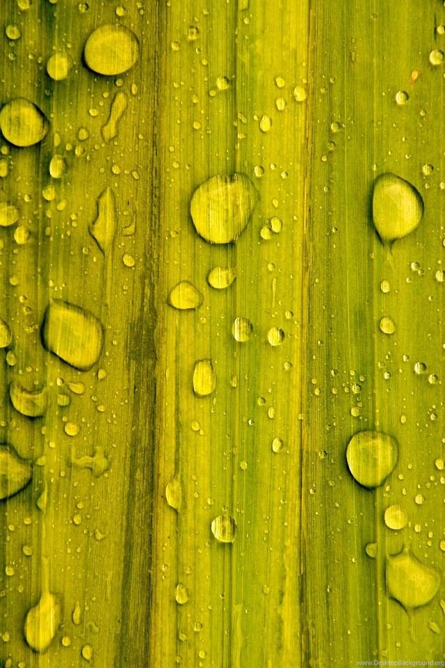 iPhone 4 Nature Wallpapers 08 640x960 Wallpapers, 640x960 ...