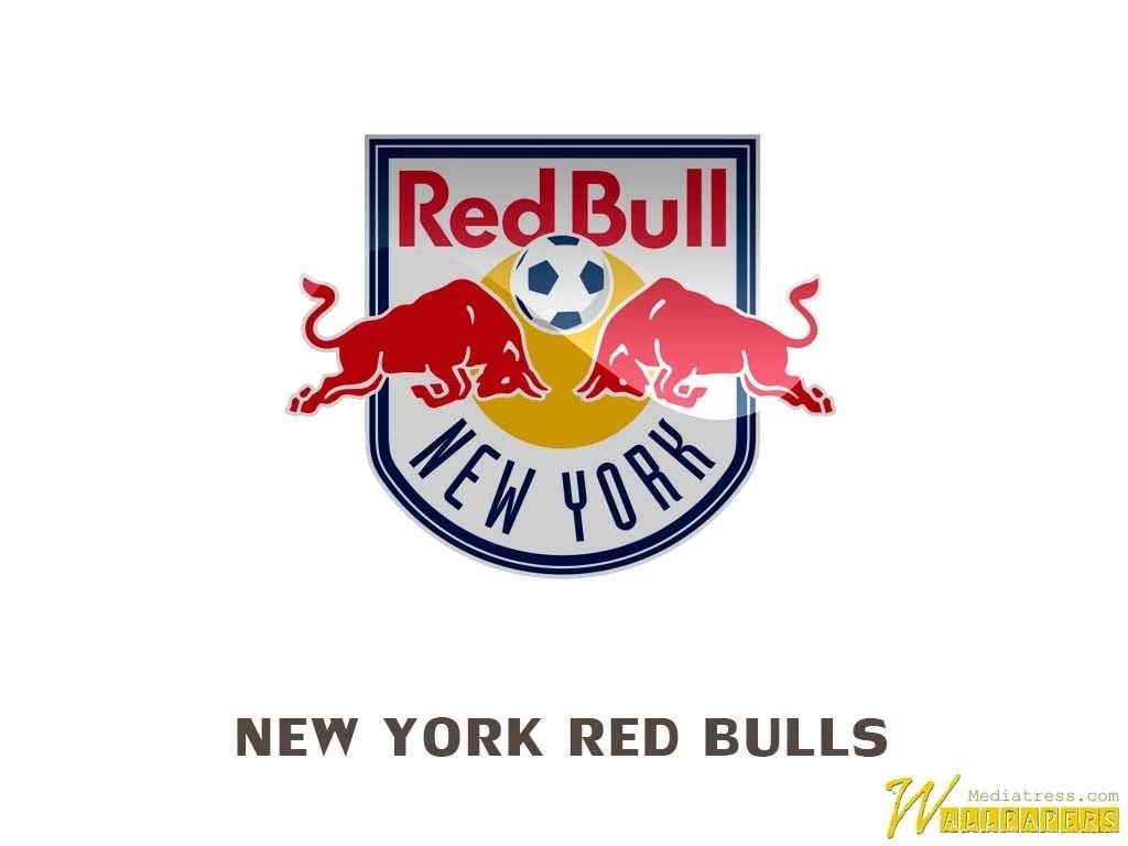 New York Red Bulls Logo Printable Nnlogo Printable