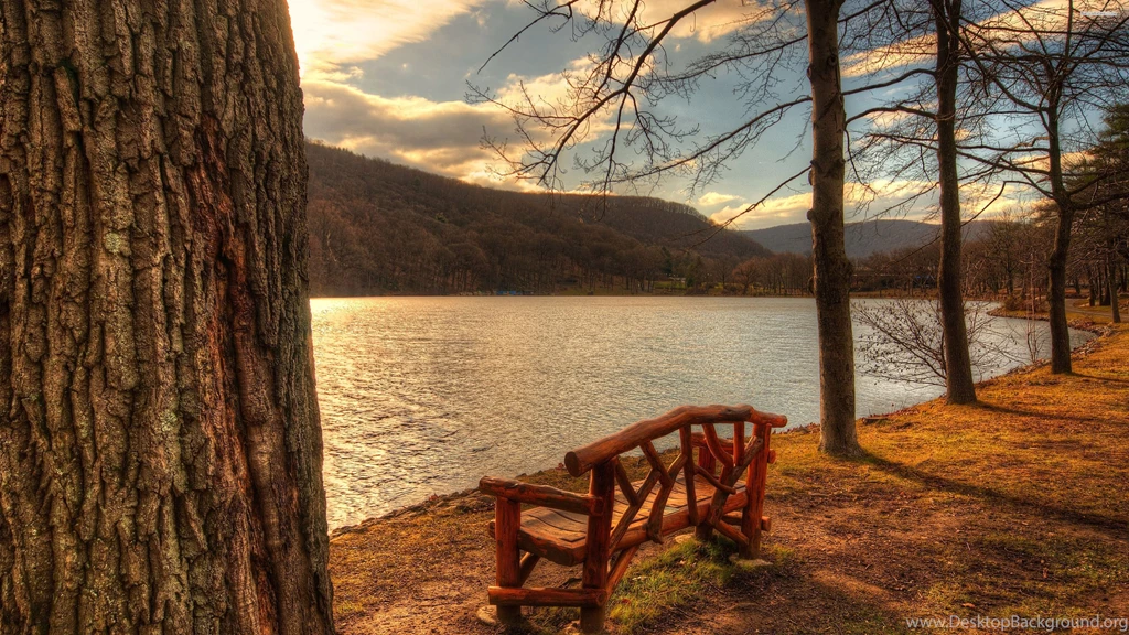 Relaxing Spot On The Lake Side Wallpapers