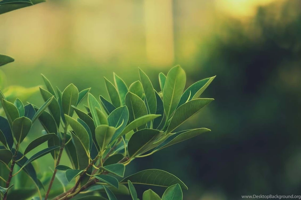 Hd Nature Wallpapers, Place, Cool Images, Colors, Mother Nature ...