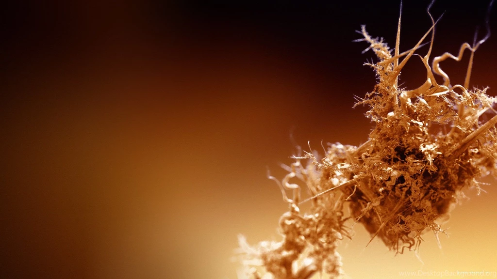 Masonic Wallpapers » WallDevil Best Free HD Desktop And Mobile ...