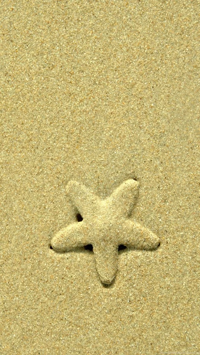Starfish iPhone 5s Wallpapers Download