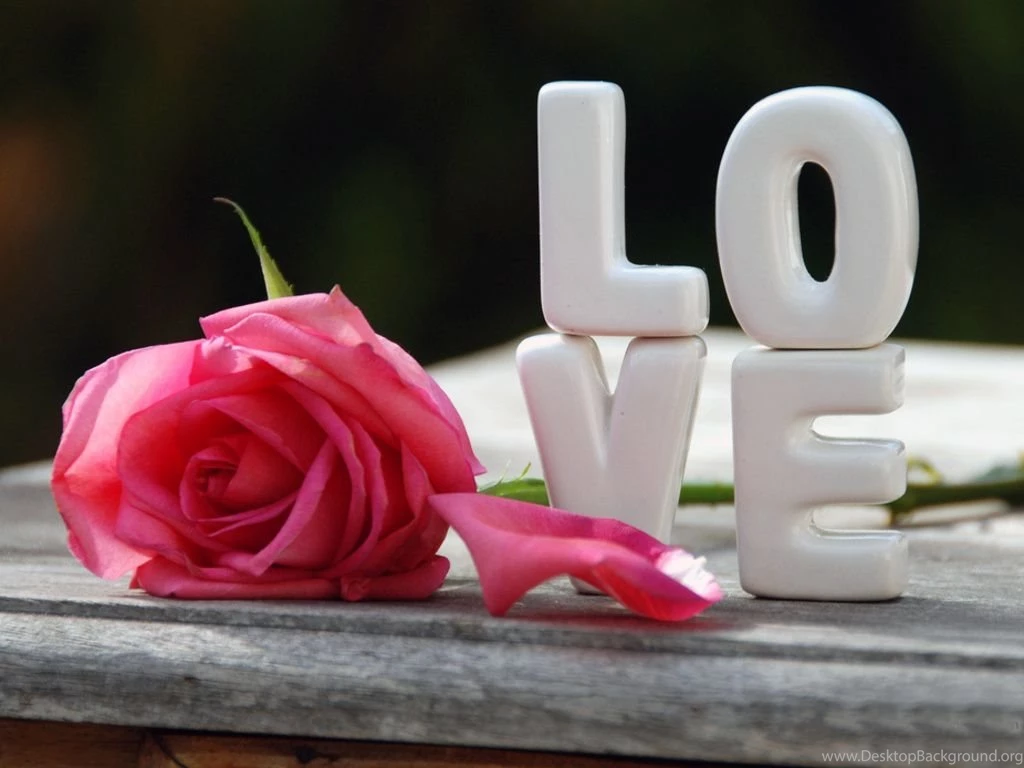 Nice Love Heart With Rose Hd Wallpapers