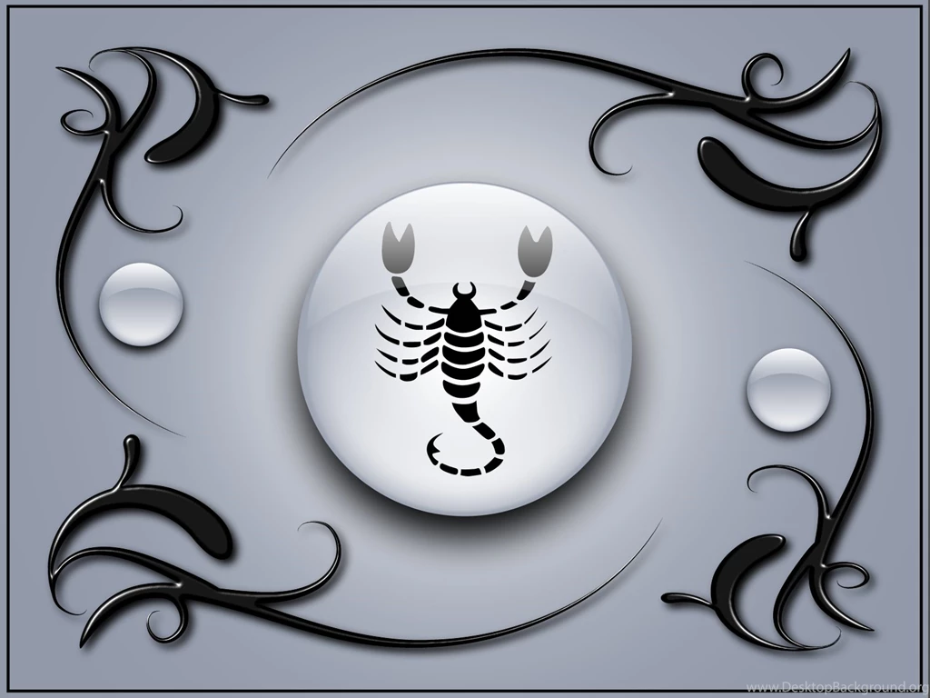 Scorpio On A Gray Backgrounds With Black Ornaments Wallpapers And ...