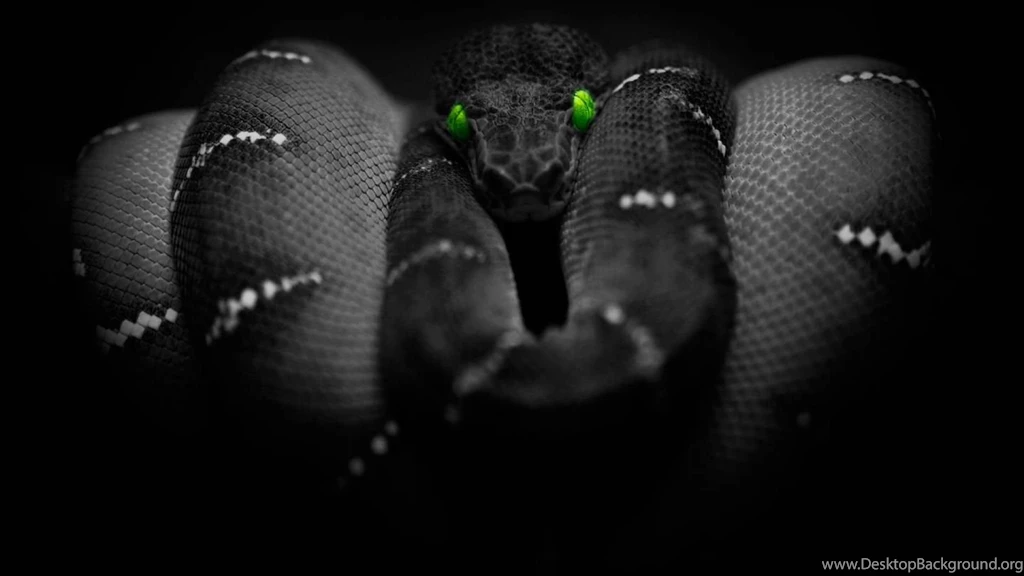 Black Mamba 1489090