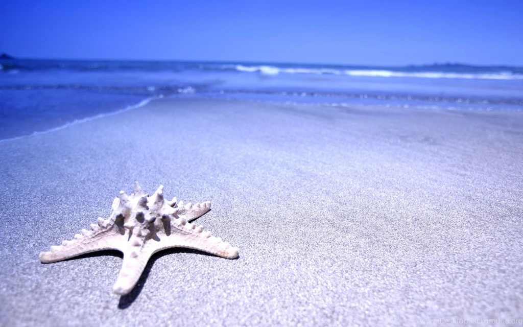 Beach Background Wallpaper.jpg