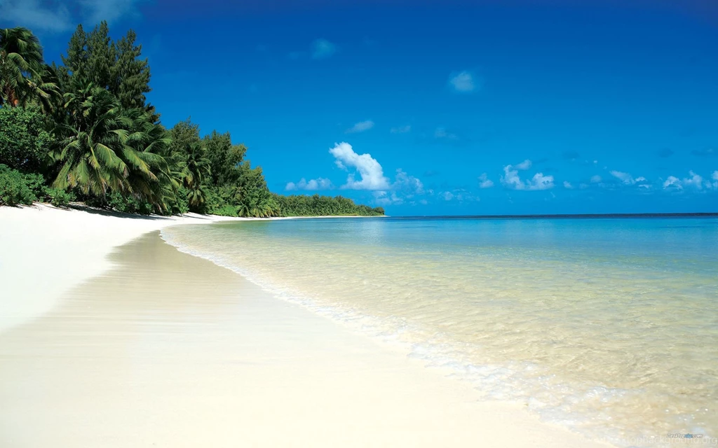 BEACH BACKGROUNDS HD WALF1074