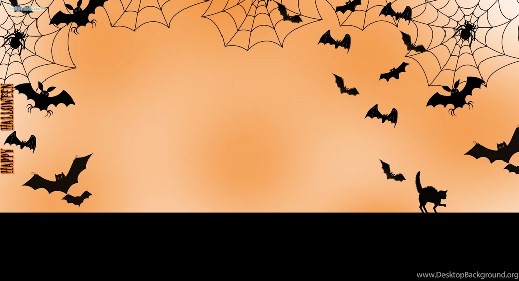 Pics, Facts, Funny Stuff About Animals & Nature Spider Backgrounds ...