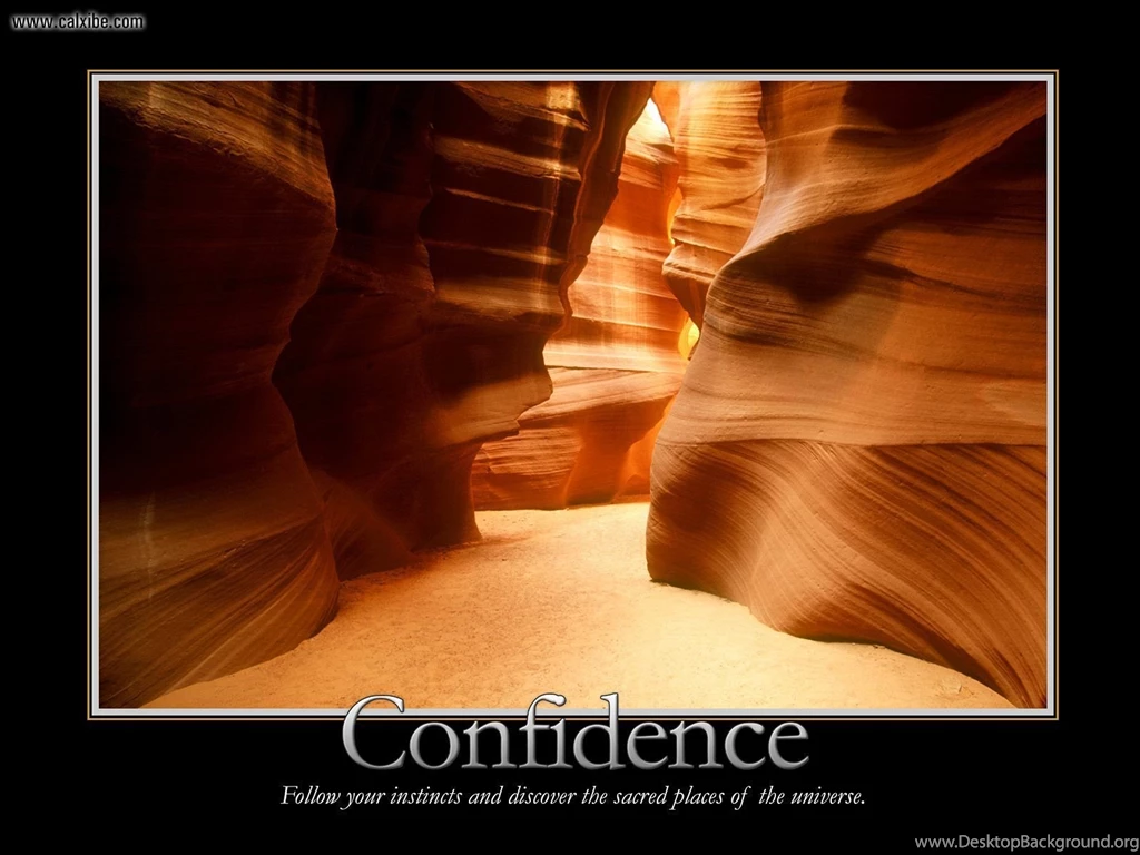 Miscellaneous: Confidence, Picture Nr. 12693