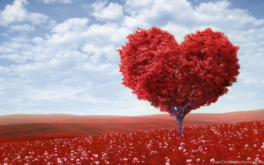 The Best Nice Wallpapers Love To Share Wallpapers For PC Free ...