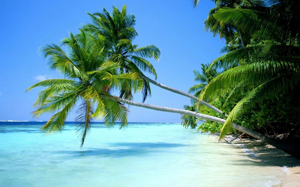 Free Nature Wallpapers For Desktop Wallpapers HD Wide