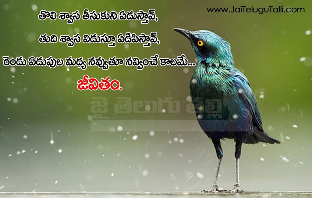 Best Life Quotes And Sayings Images Telugu Quotations And ...