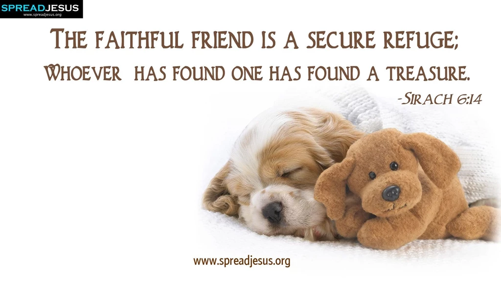 Christian Quotes And Sayings Wallpapers. QuotesGram