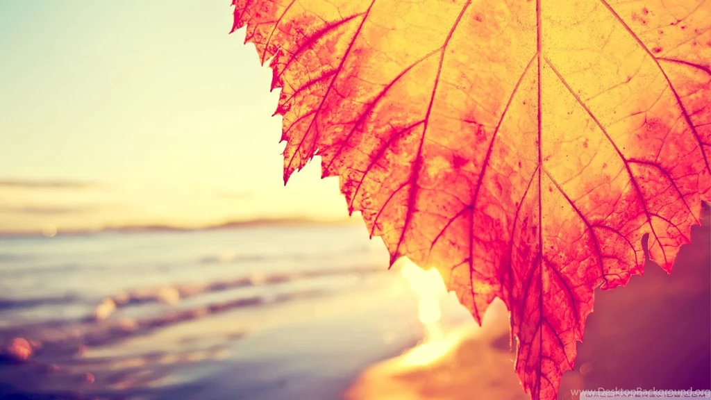 Download Colored Bracelet Wallpapers 240x320