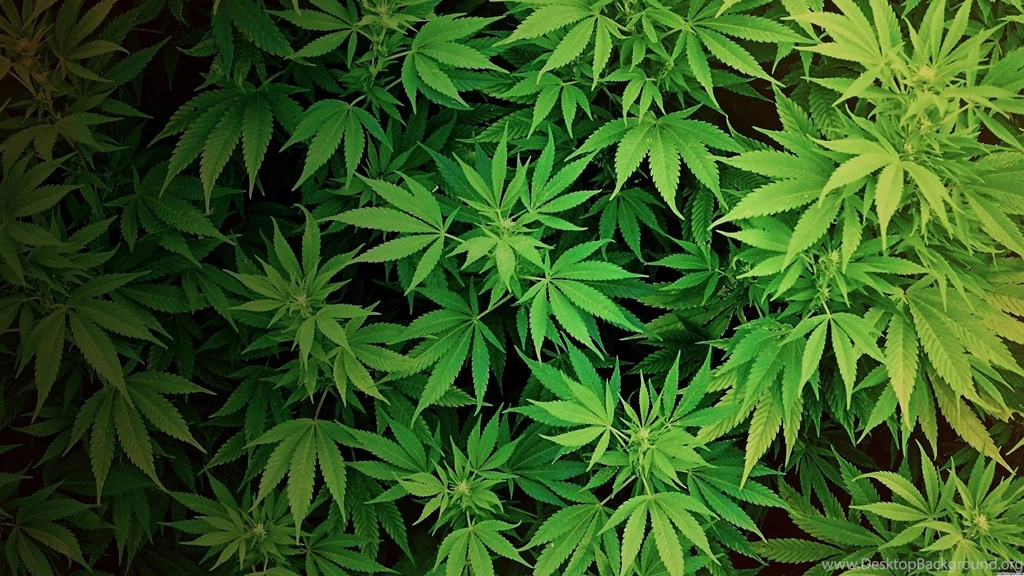 Marijuana Backgrounds Wallpapers Cave