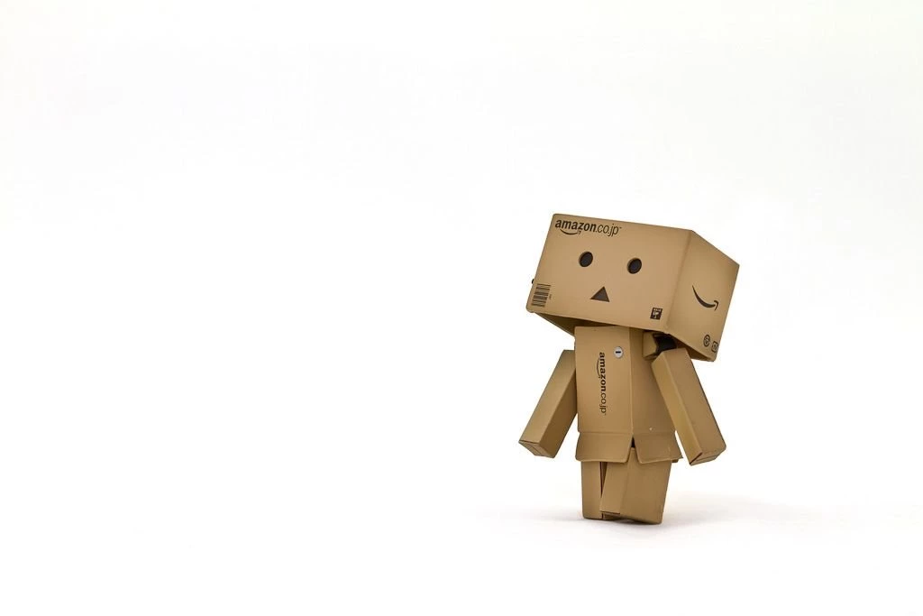 Revoltech Danbo, Amazon.co.jp Version