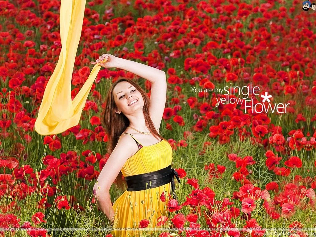 Flowers Wallpapers